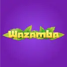 Recenzja Wazamba Kasyno